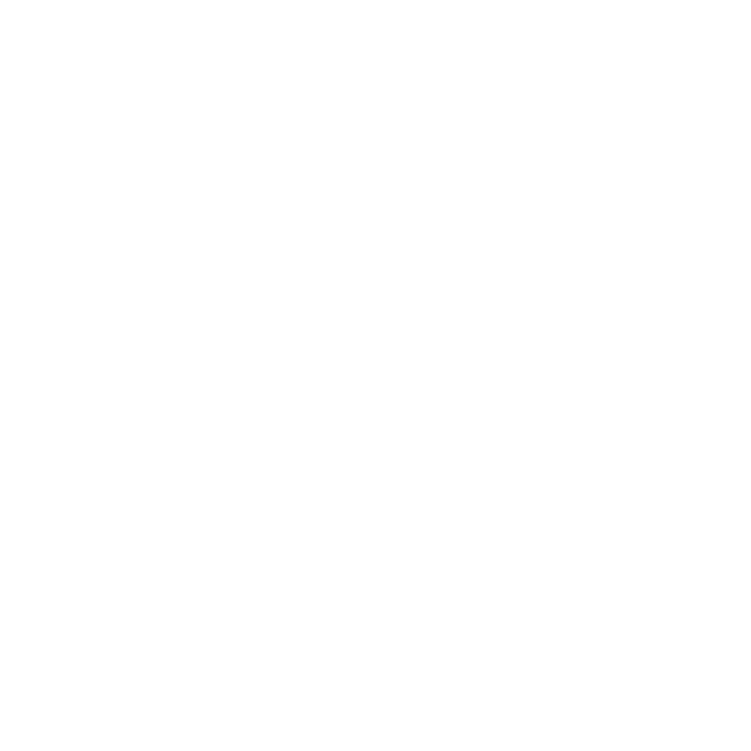 NICE HOLLYWOOD Logo