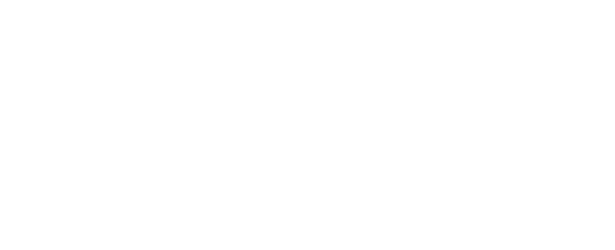 LEVIÉ BY QUBE Logo